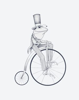 Mr Croaké