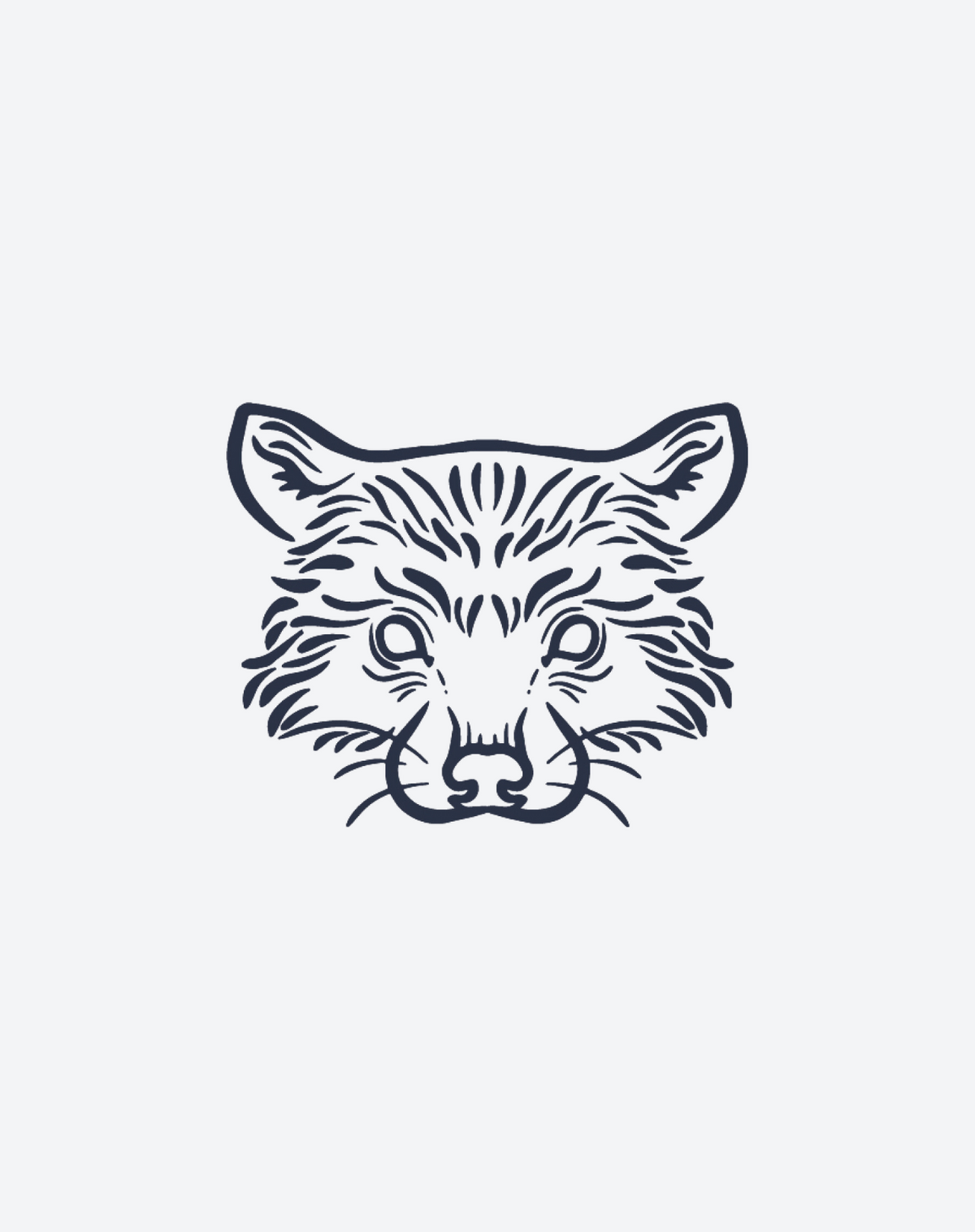 Raccoon
