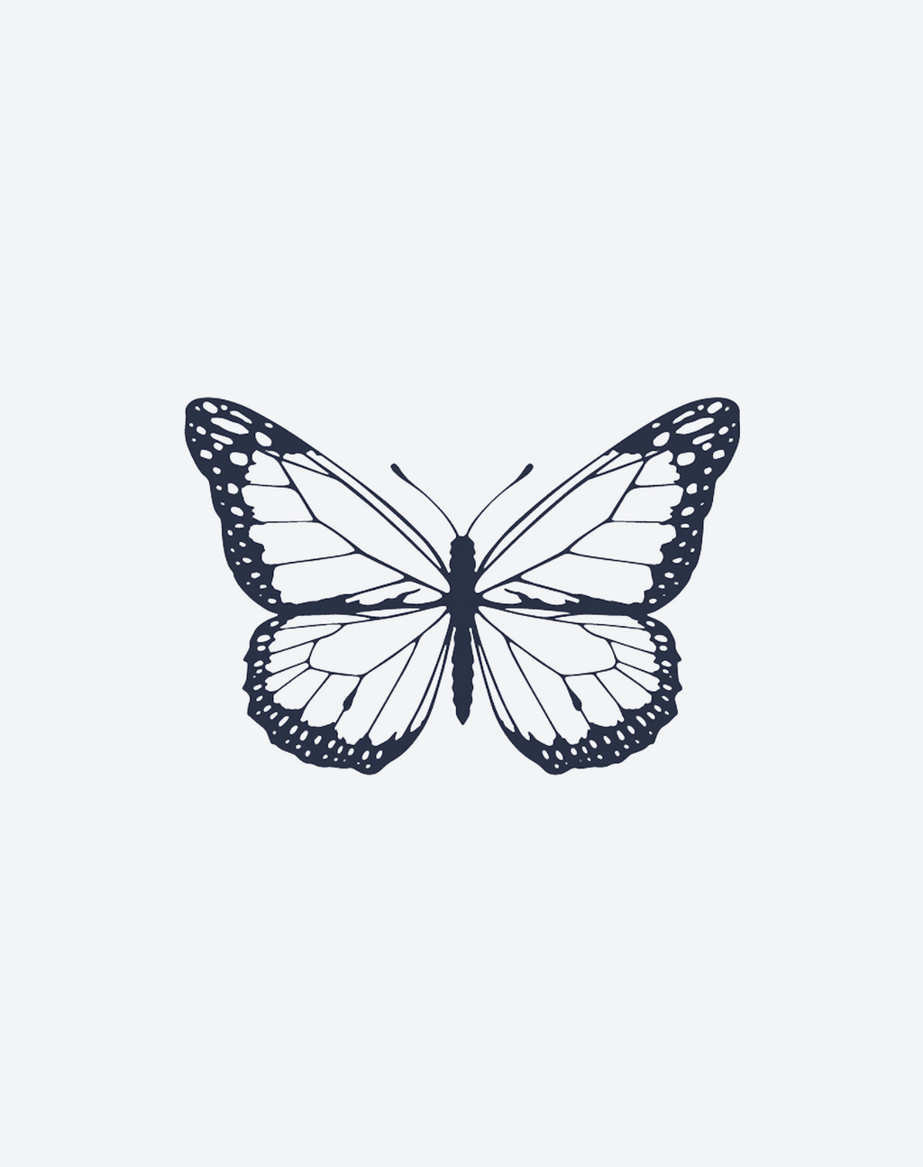 Simple Butterfly