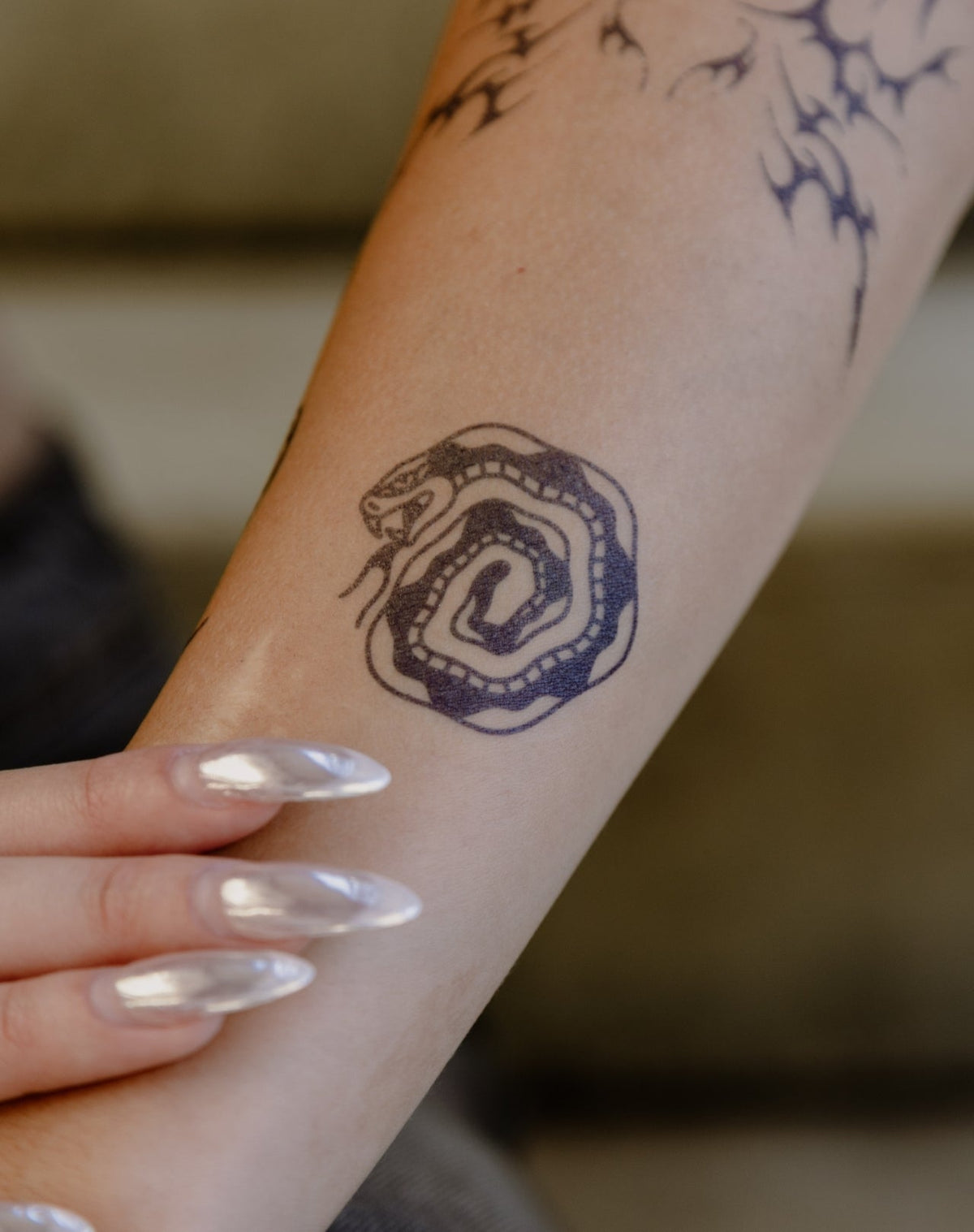Swivel Snake